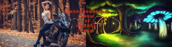 дживик Нягань