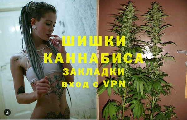 дживик Нягань