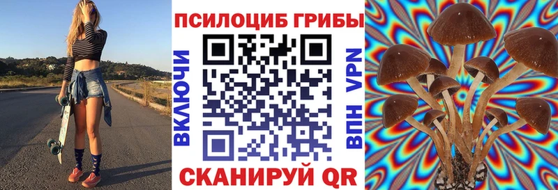 купить наркотики цена  Ржев  Псилоцибиновые грибы Psilocybine cubensis 