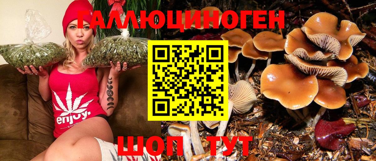 Галлюциногенные грибы MAGIC MUSHROOMS  Вход с VPN  Галлюциногенные грибы мицелий  Ржев 