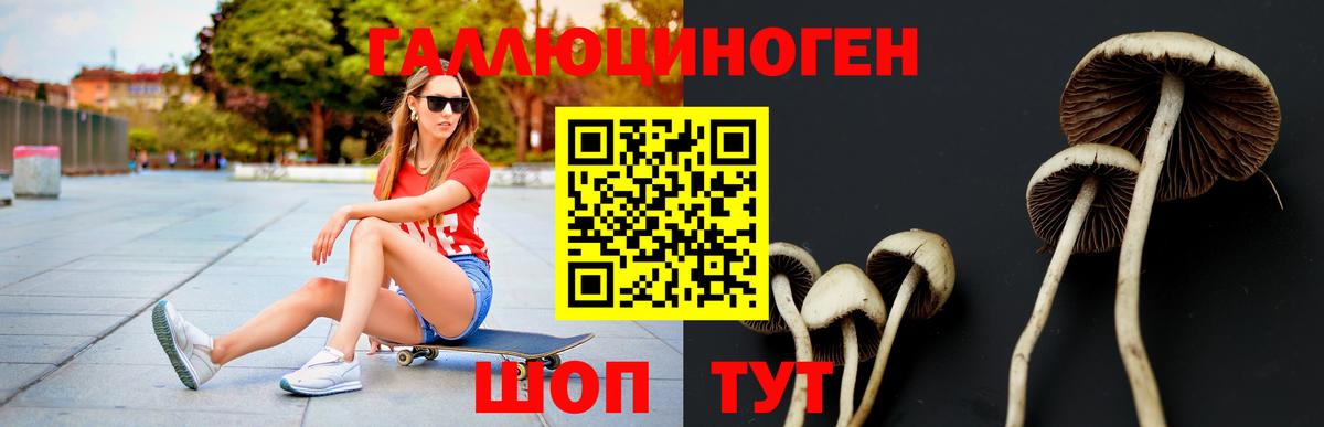 Псилоцибиновые грибы GOLDEN TEACHER Ржев